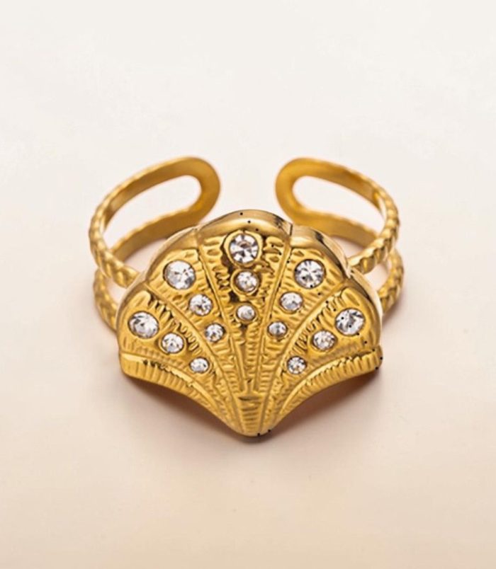 anillo6